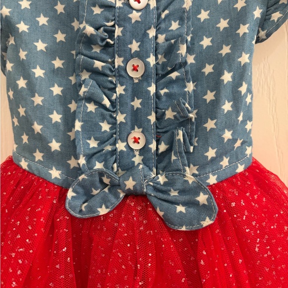Good Lad Blue Star Bodice with Red Tulle Skirt Halloween Dress - Picture 2 of 3